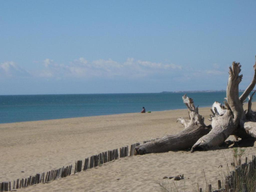 L'Etoile De Mer Sète Exterior foto